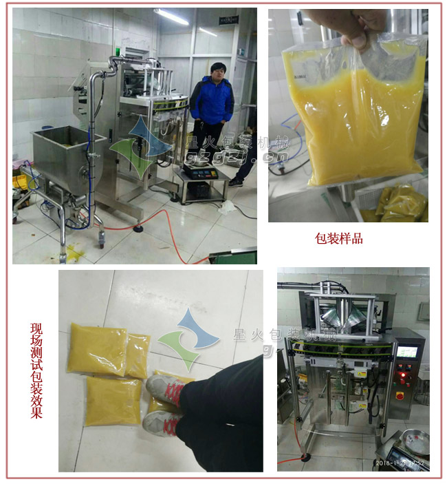 袋裝雞汁調(diào)味料包裝機(jī)