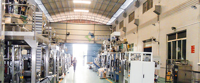 果仁包裝機_果仁顆粒自動包裝機