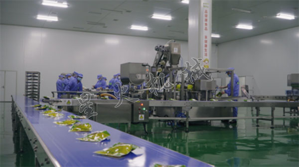 外賣酸菜魚給袋式包裝機(jī) 預(yù)制菜半成品食品生產(chǎn)線設(shè)備