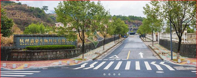 藕粉包裝機,全自動藕粉包裝機